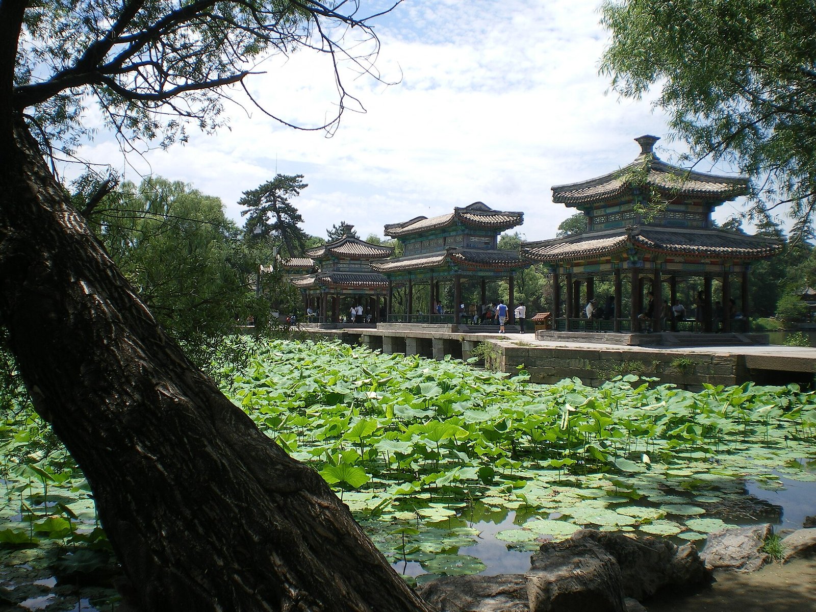 Chengde Mountain Resort: Imperial Autumn Beyond the Wall 5 Lotus pond and waterside pavilions in the palace quarter of Chengde Mountain Resort