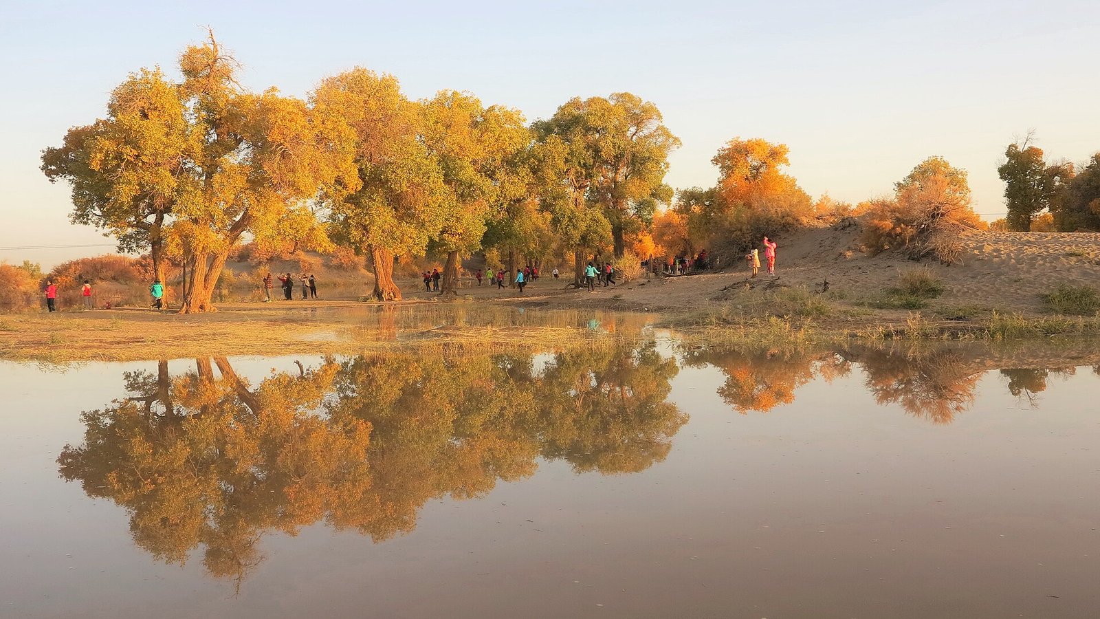 Still water reflecting golden poplars at Bridge 2 in the Ejina scenic area, with visitors on the bank