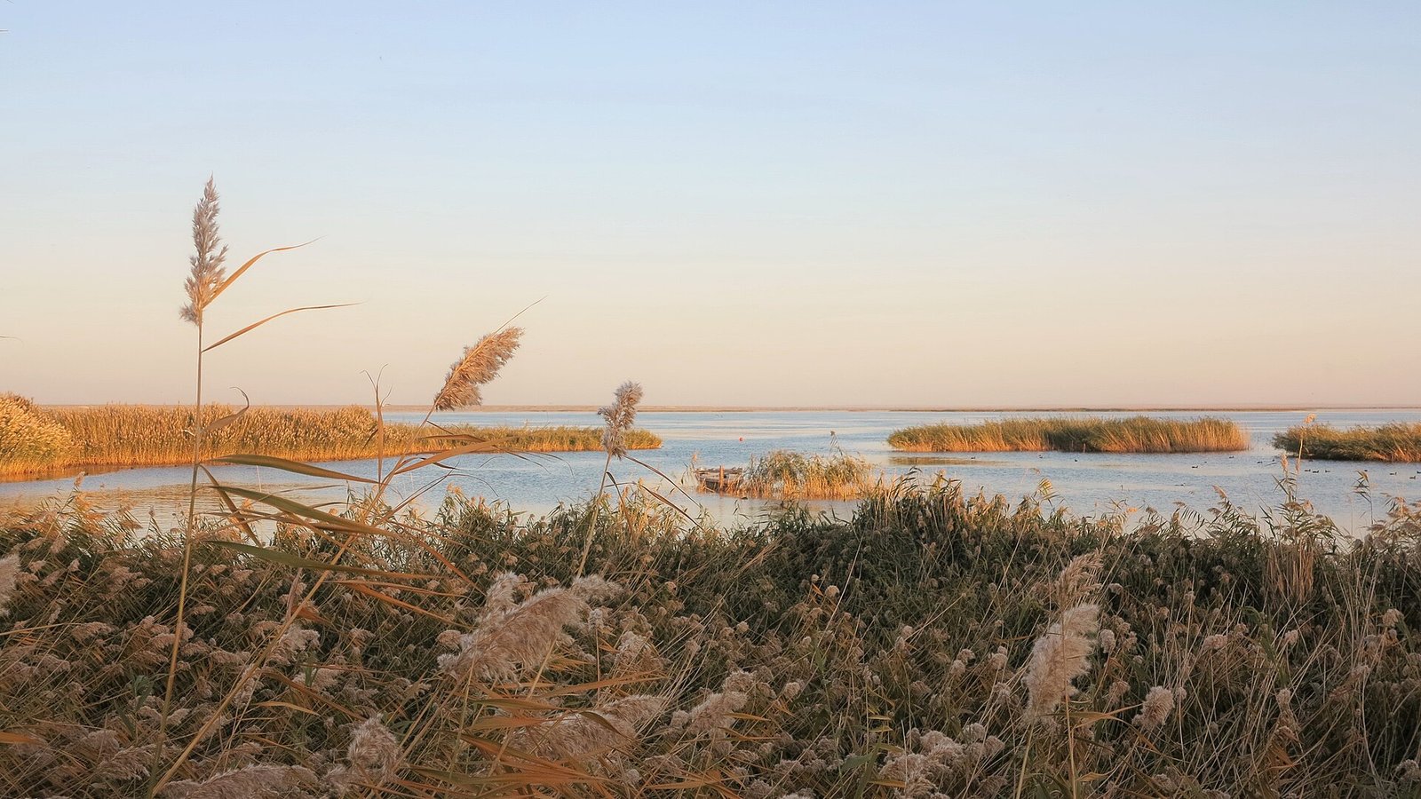 Reed beds and open water at Juyan Lake north of Dalaihubu in Ejin Banner at sunrise