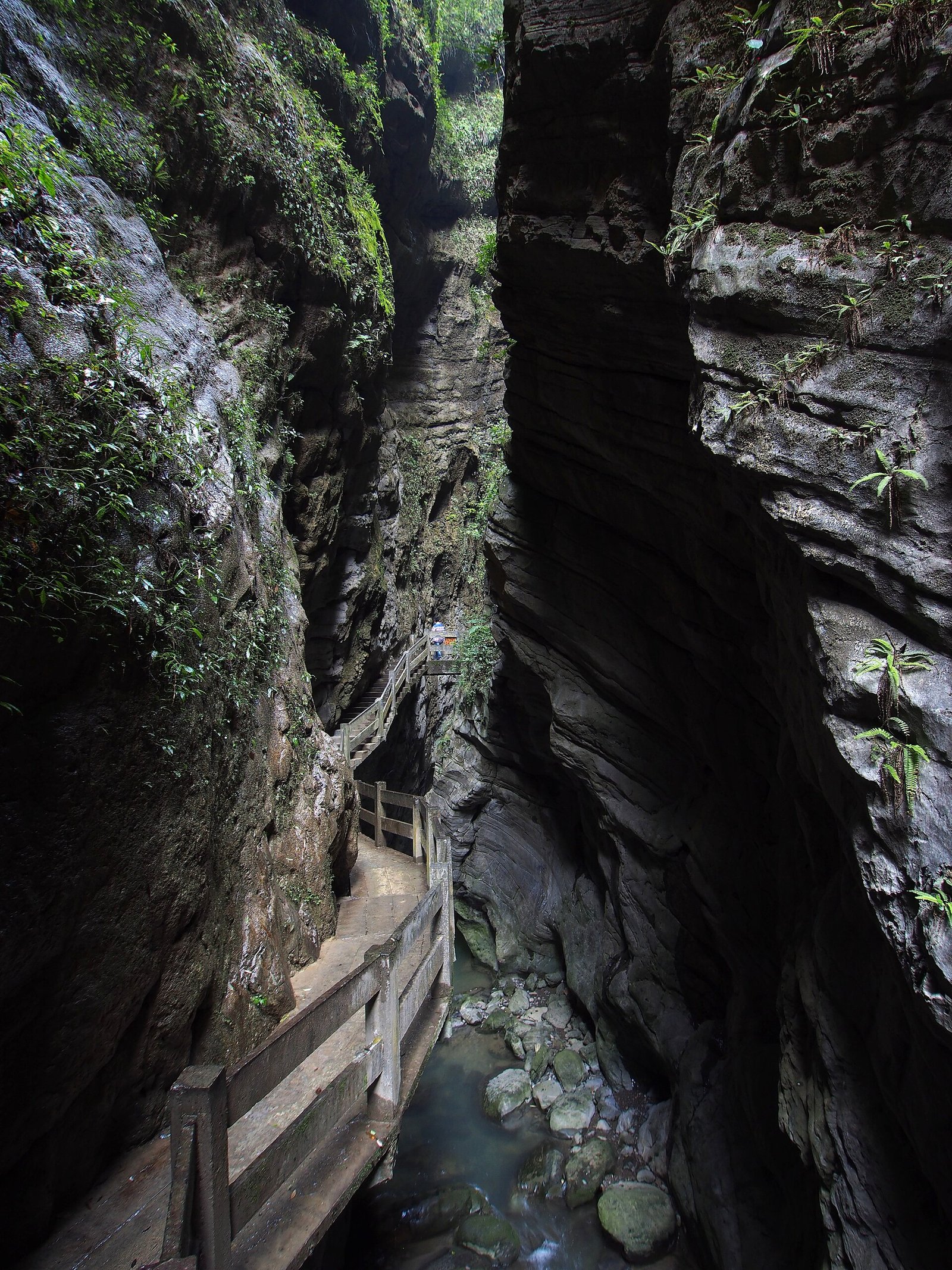 Wulong's Sinkholes: Descending Into China's Karst Underworld 3 Narrow plank walkway following the stream through the mossy limestone walls of Longshuixia Fissure