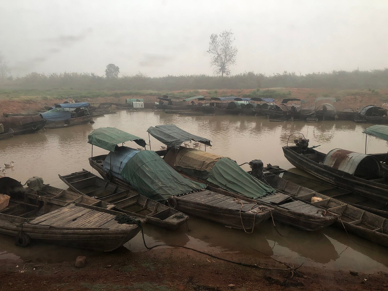 Poyang Lake in November: China's Winter Bird Airport 4 Fishing boats moored in a misty side channel of Poyang Lake during the winter low-water season