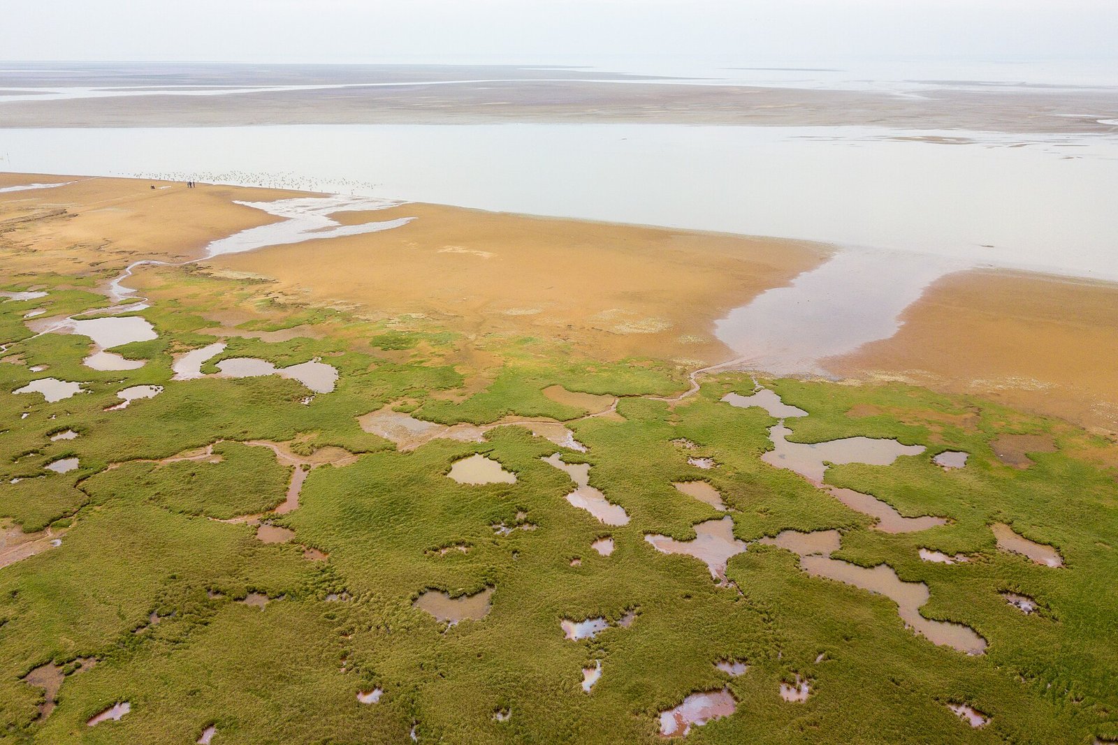 Poyang Lake in November: China's Winter Bird Airport 2 Aerial view of exposed wetland and shallow pools at Poyang Lake in November, Jiangxi