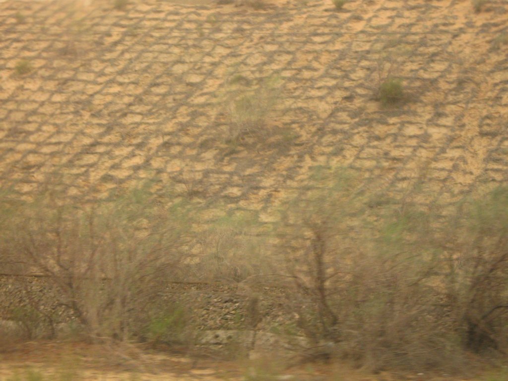 Straw checkerboard grids stabilising a sand dune beside the railway at Shapotou
