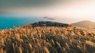AI-generated illustration of a silvergrass ridge at golden hour on Sunset Peak, Lantau Island, Hong Kong