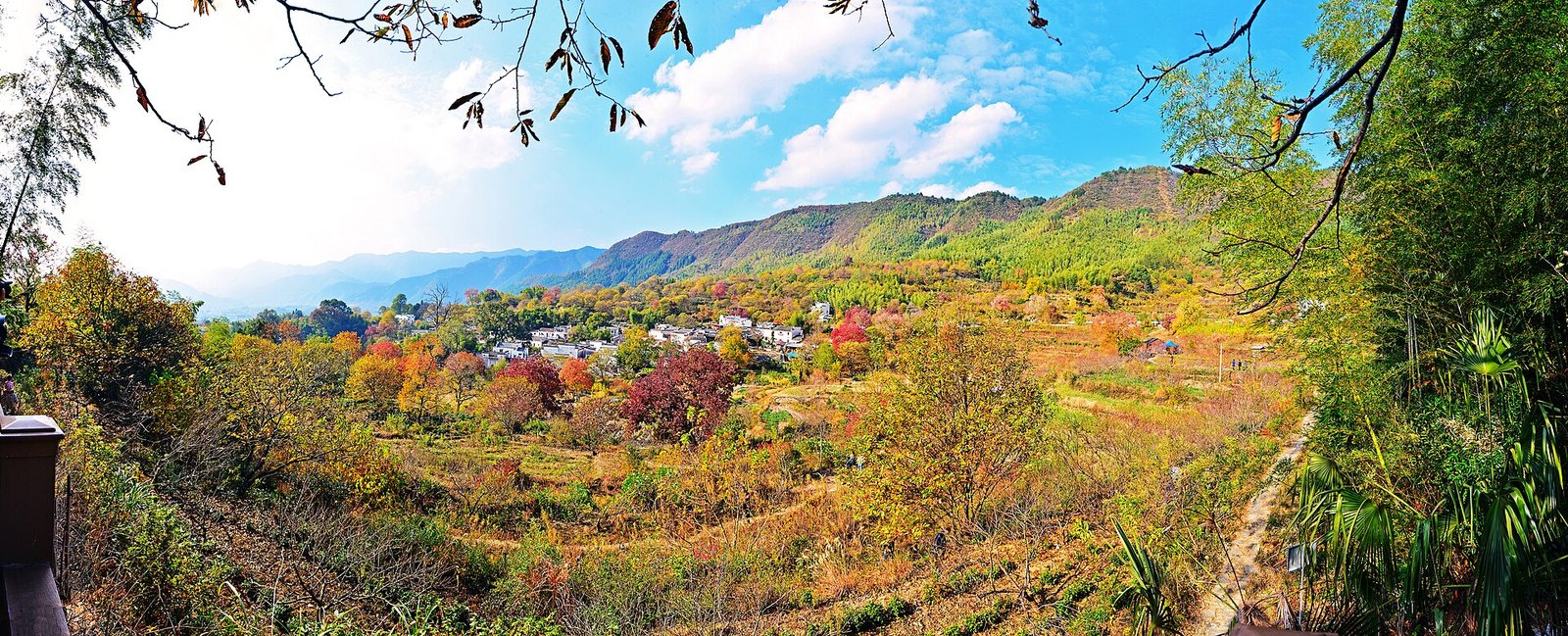 Tachuan autumn village seen from the hillside viewpoint, white Huizhou houses among red and orange autumn trees