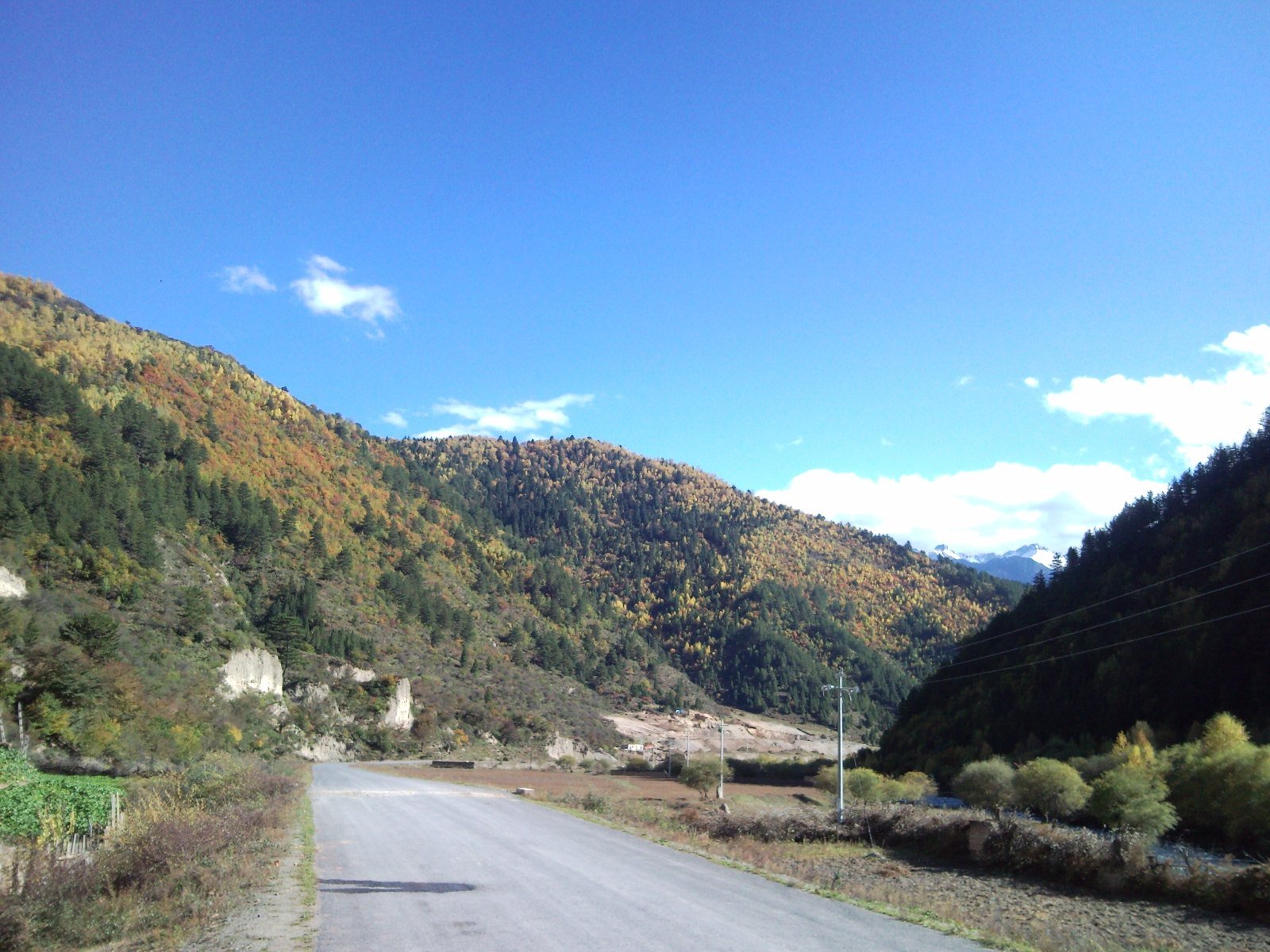 Zhagana: The Stone Box Valley of Gannan's Tibetan Farms 4 Autumn colour along the Yiwa valley road leading into Zhagana, Gannan